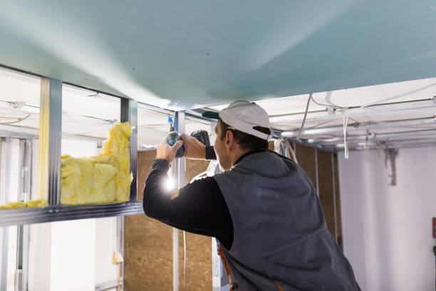 Best Specialty Insulation in Lake Zurich, IL